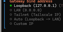 选择 Loopback