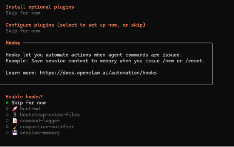 配置 Hooks