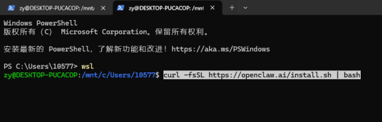在 WSL 中运行 OpenClaw 安装脚本